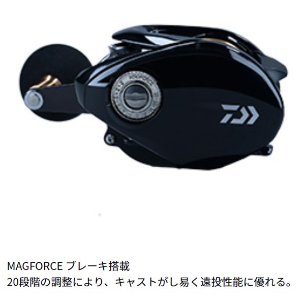 シ-ホ-ク TW エントウ